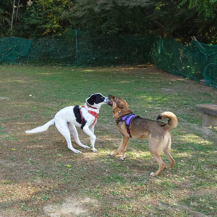 94083250 0266 4d69 97be 158bc3a918fc 1699062383397