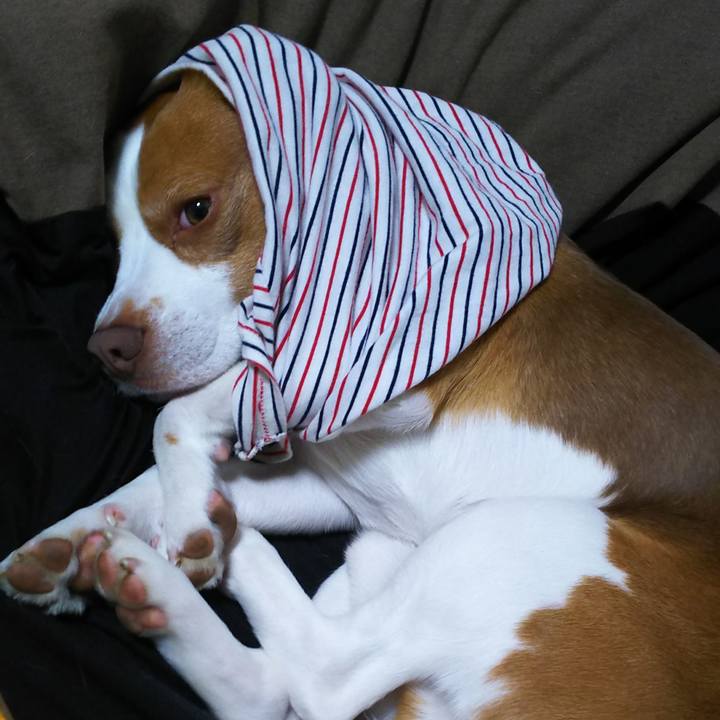 940850f0 f429 45a6 9b58 01c5a511df9f 1587050172345