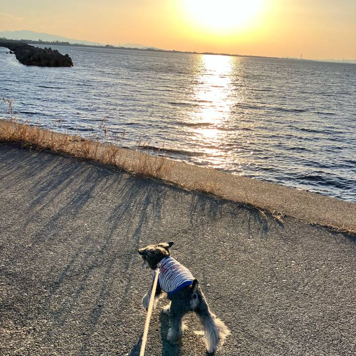 940868a7 28f3 4ee1 a626 fa2ea0289e6c 1772030031749