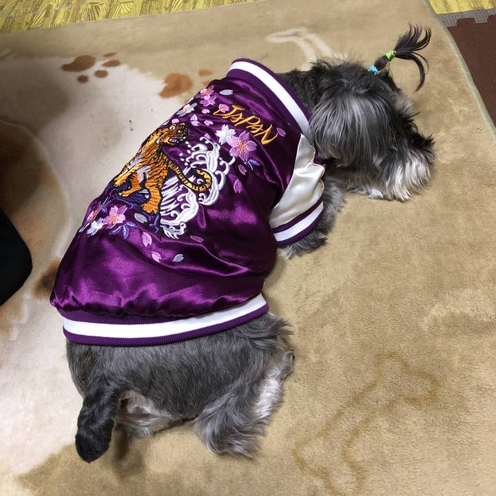 9408b9d4 3c80 489b ba90 2a11e2ffeb60 1520077070179