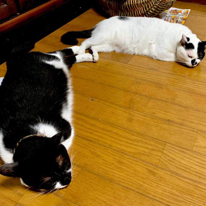 9408c17d d567 4c2f a6c1 cbbe921d1446 1568242723280