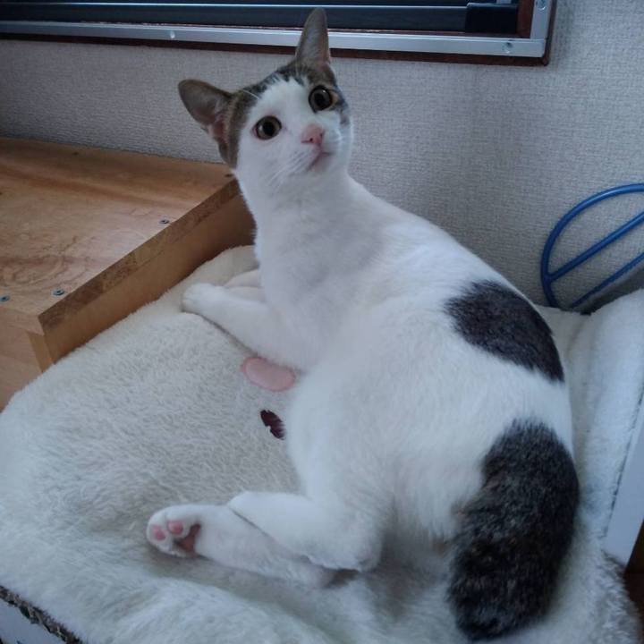 940933d8 6cff 43bc 95d3 6f8b53ec64ea 1662878747457