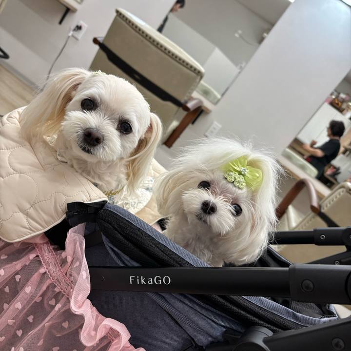 94093cad a9c7 442d be9b c002bf6cfdb5 1760689526833