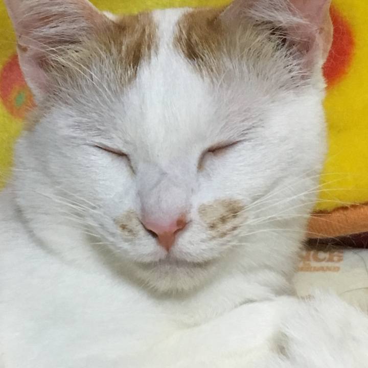 940952b3 6c58 4f77 9268 f97edf1244e2 1560097182168