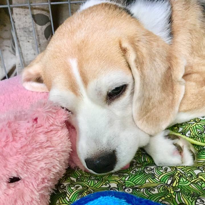 940964aa 9775 42c7 940d 0b6ca0e0d4a0 1560225162858