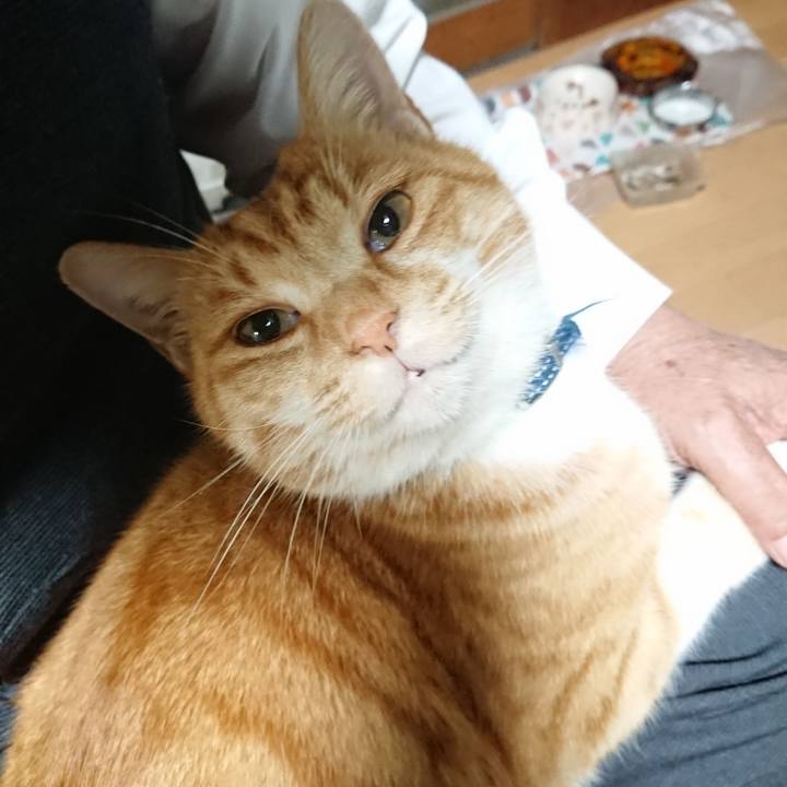 94098cc0 a06b 4215 b769 75bd0f749e42 1606255158219