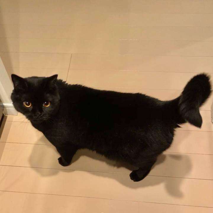 9409a3dc 0d14 4301 b231 09fcd6bbb426 1628341611842