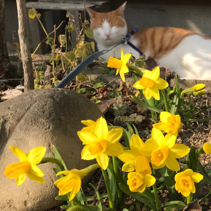 9409a641 cf08 4950 a1d9 47b818d5ce42 1521007430875