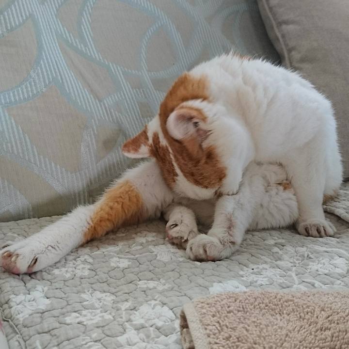 9409a85f ccdd 499d 9e59 b937a4f8a3c4 1566102920728