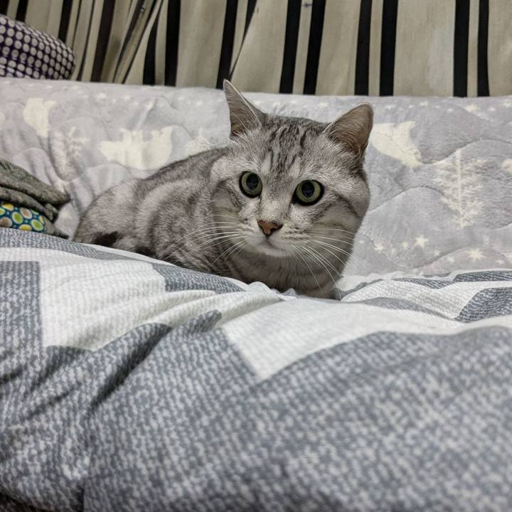 9409dbe3 3cf6 4d5d a3af 3282310493a9 1760971678836