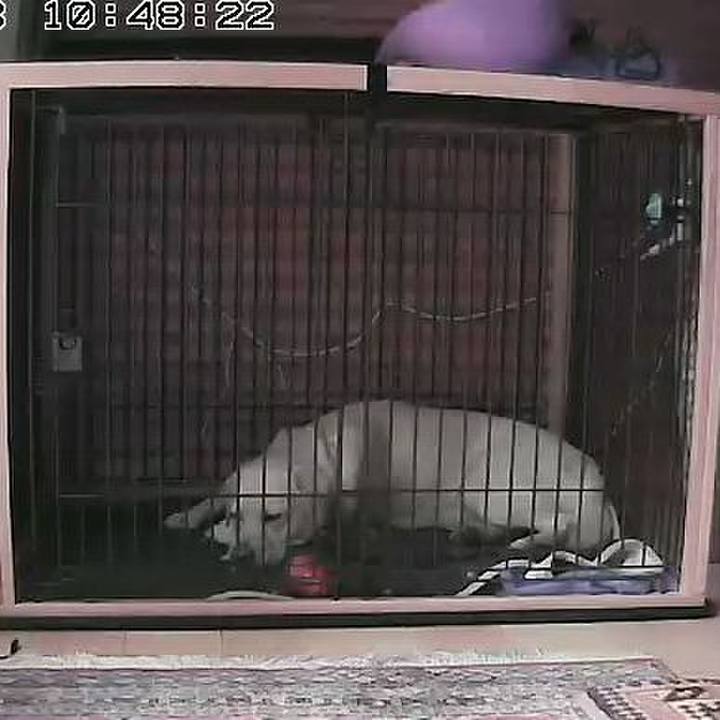 9409de3f 5e2f 40ce 889f 8621f7b2570c 1521772679950