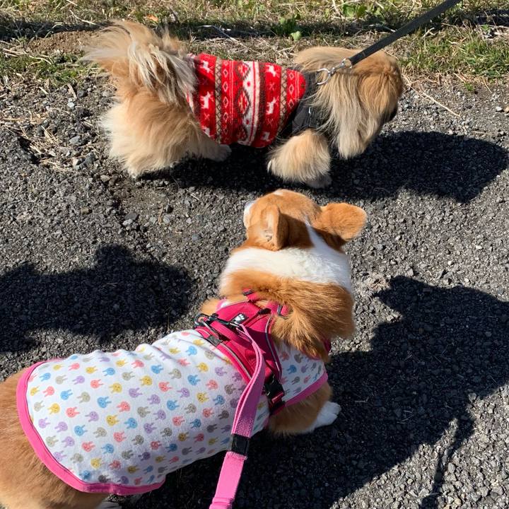 940a17ec e42b 48bd 97fc fd6243f9cb42 1645069374966