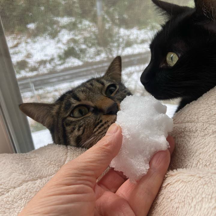 940a31c0 8515 4b8b 8fde b1a21cb50768 1671371551609