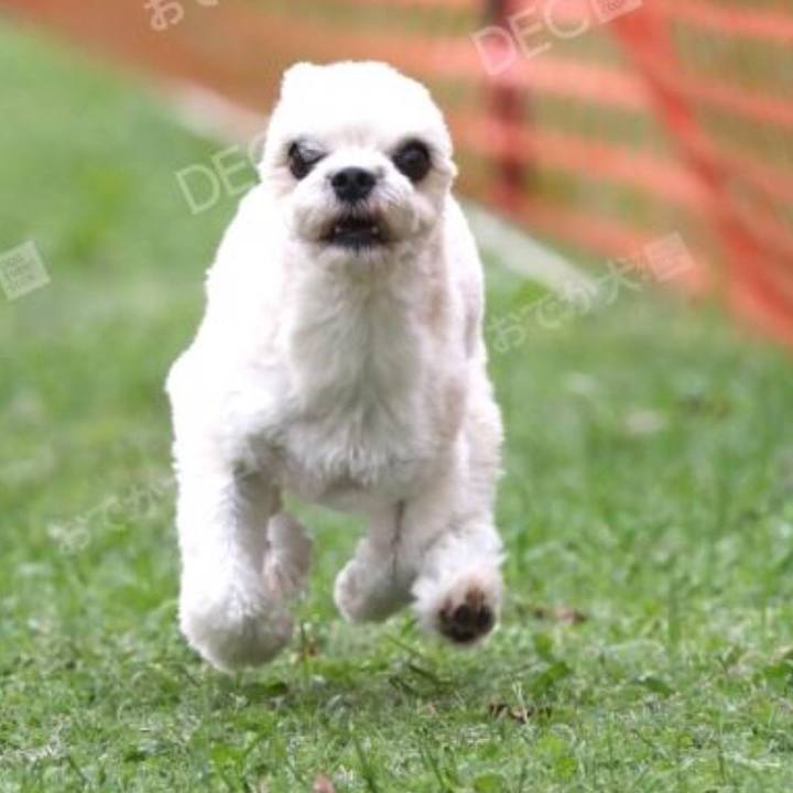 940a4b43 3bef 44de 8c02 083377d95974 1540023820854