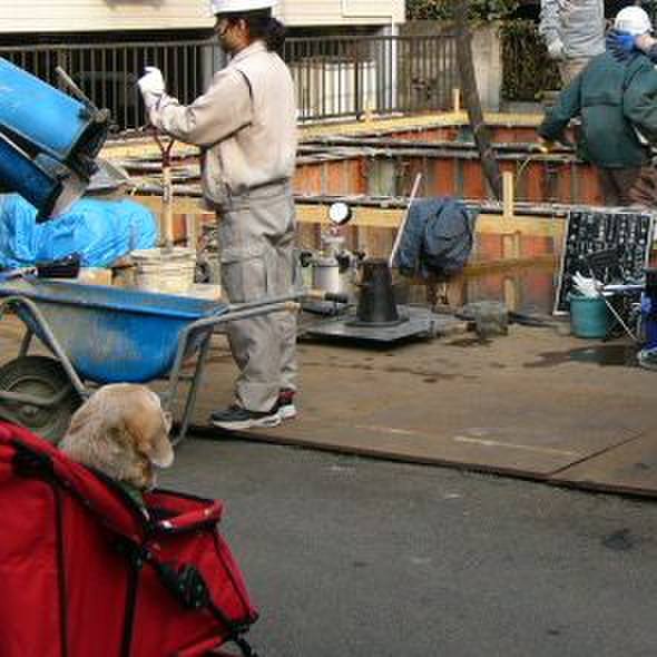 940a6f15 da88 4855 aa09 7f8667534859 1773276126798