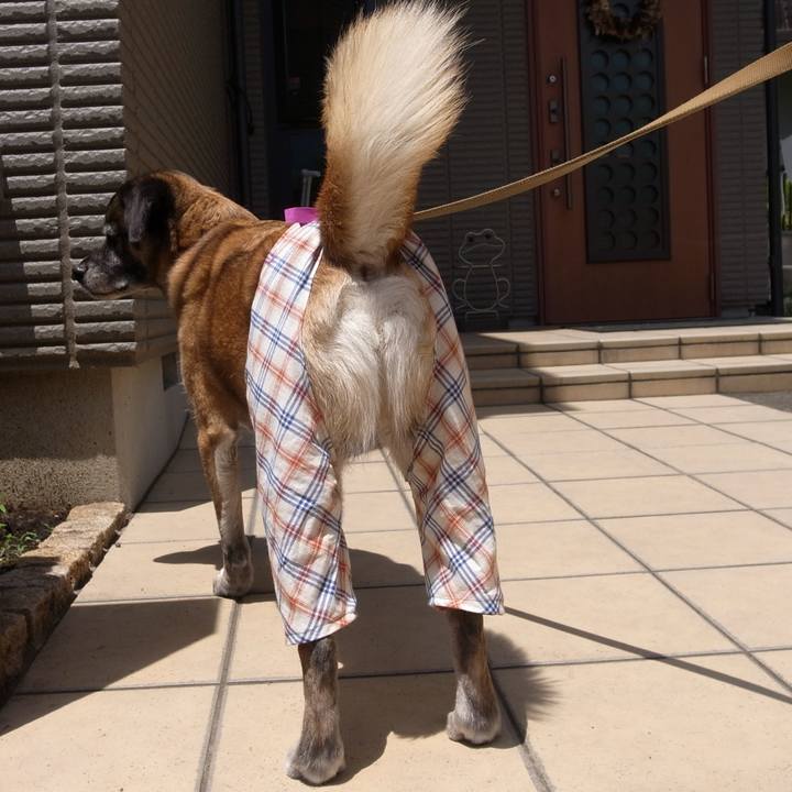 940a8801 e2db 4b9a beff 423a630a3a5e 1681865338228