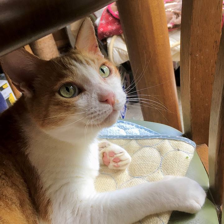 940a9ec7 8024 4e09 8f45 3a40780a69c1 1630123442054