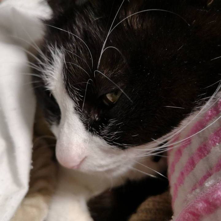 940ac075 b957 4138 b44d e82c1abfb2e0 1641784427132