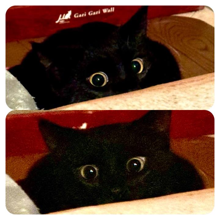 940ac3af 2f08 4516 8850 bb58bcb9a2fa 1732403566326