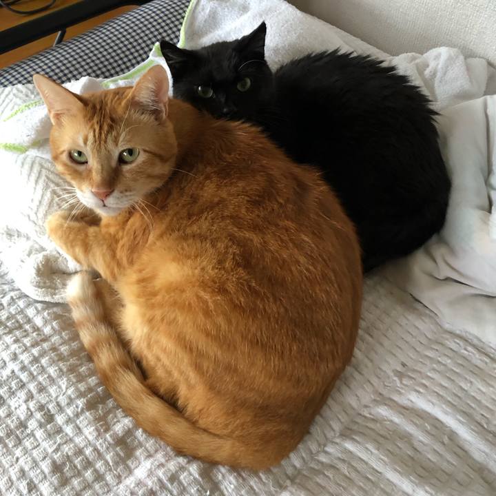 940af61f 120c 4224 b0f7 b6ca2efdef35 1598678092408