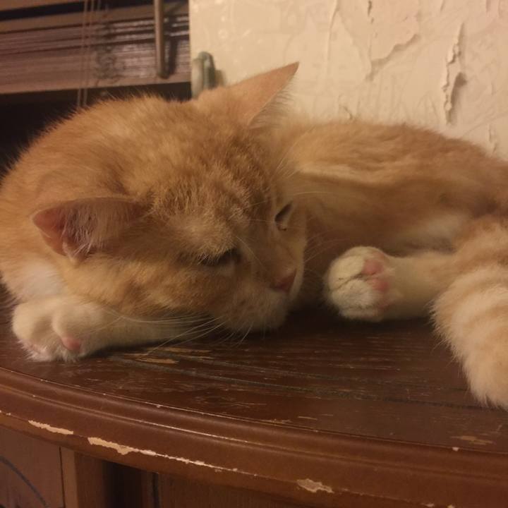 940af8b6 b973 4d2a b784 3958e7fd50ed 1570096002701