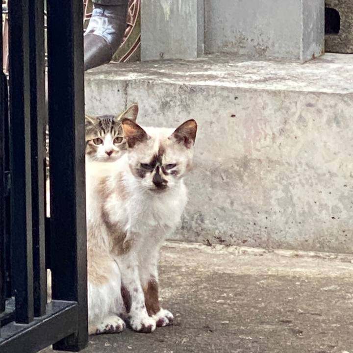 940b008d 8ce2 401d 8f1d 7bd6c7b3ca33 1601147538822