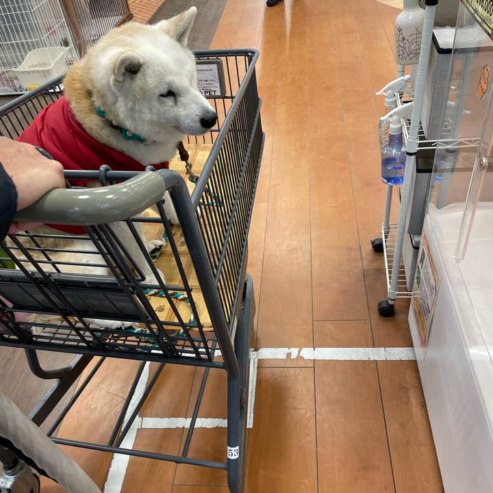 940b53b1 a4a3 4083 9fbd 3b3554cecf5b 1711262710896