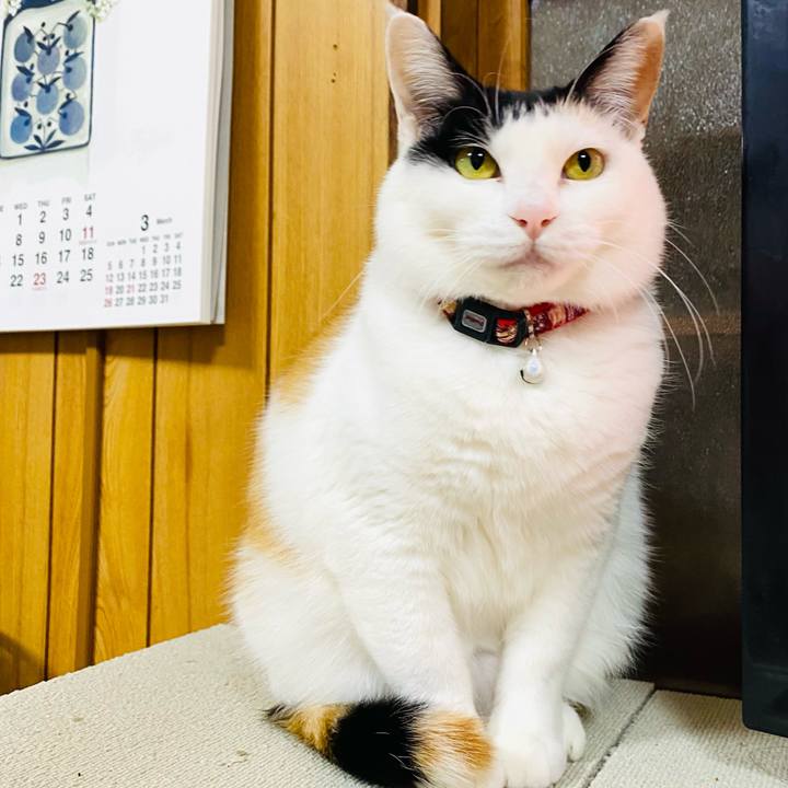 940b5f8f dab1 4e8d bb53 788483338734 1676156130636