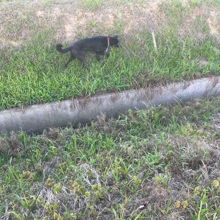 940b95c5 fd83 4ead 98a8 434ea931d702 1657358753121