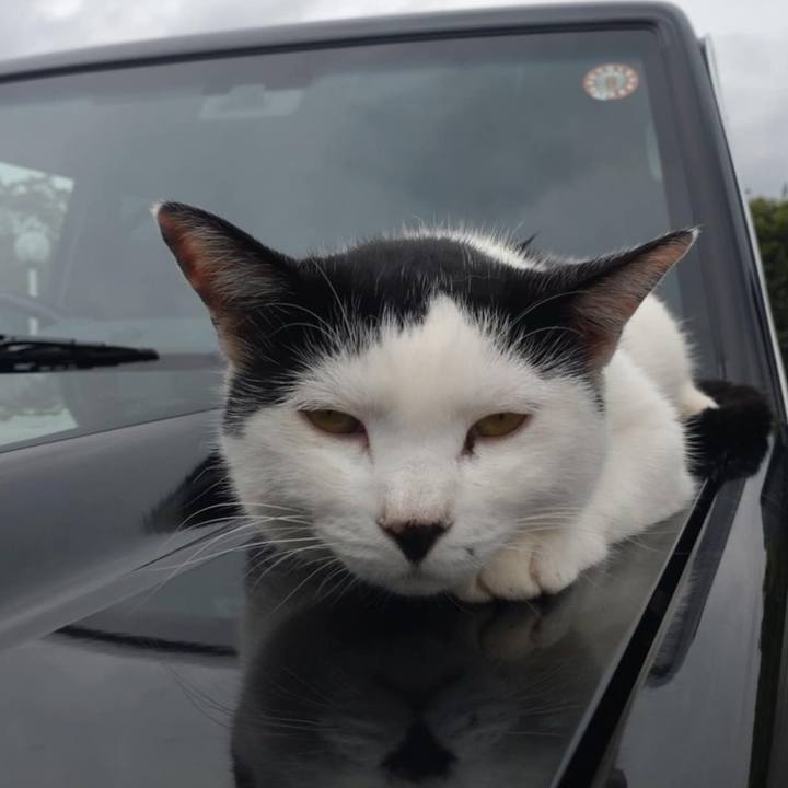 940bf46e 6ed7 41f0 a688 13ac42558cca 1757635384397