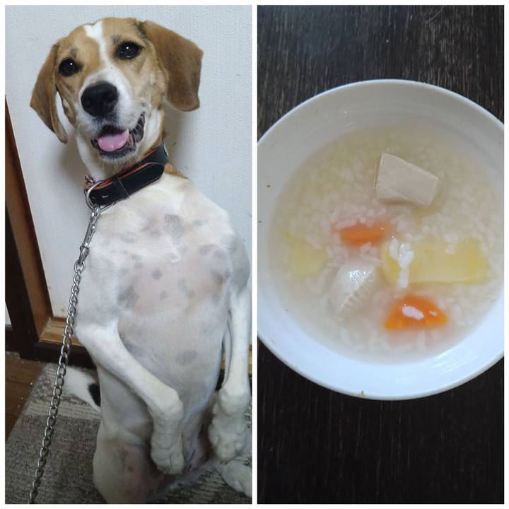 940bffaf d440 40c2 91eb 142f3a13e212 1630311202209