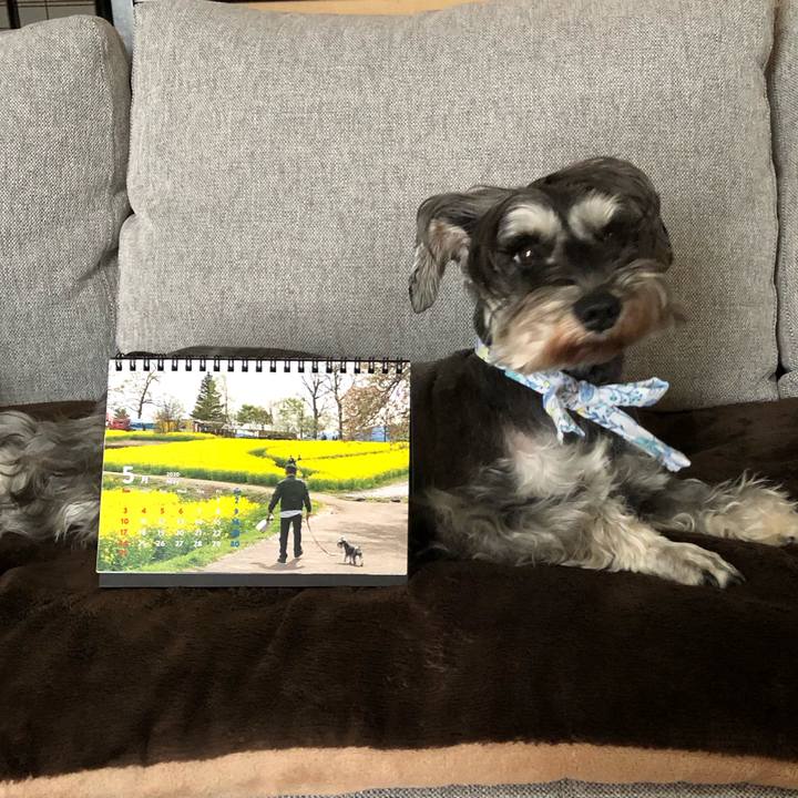 940c1be6 cd5b 41a0 aac4 640d943fc99a 1588690192495