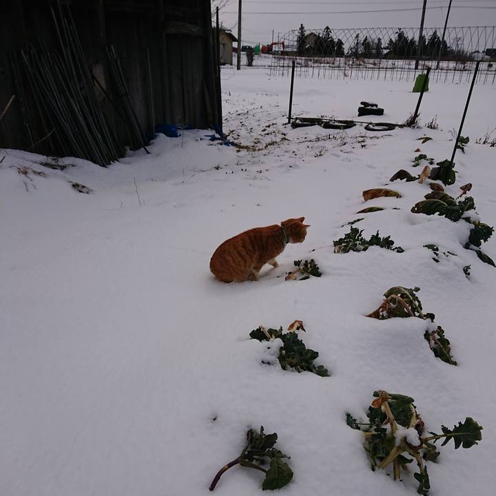 940c2cf2 c383 4ae5 b508 761b6f6367e9 1581386785047