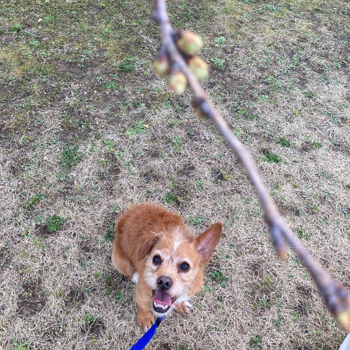 940c61db 5d0d 4211 a522 0683a2df19f2 1615451698234