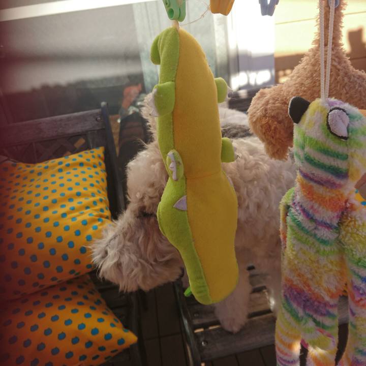 940c61f1 3db1 4873 8104 5816ee8fe107 1511577638027