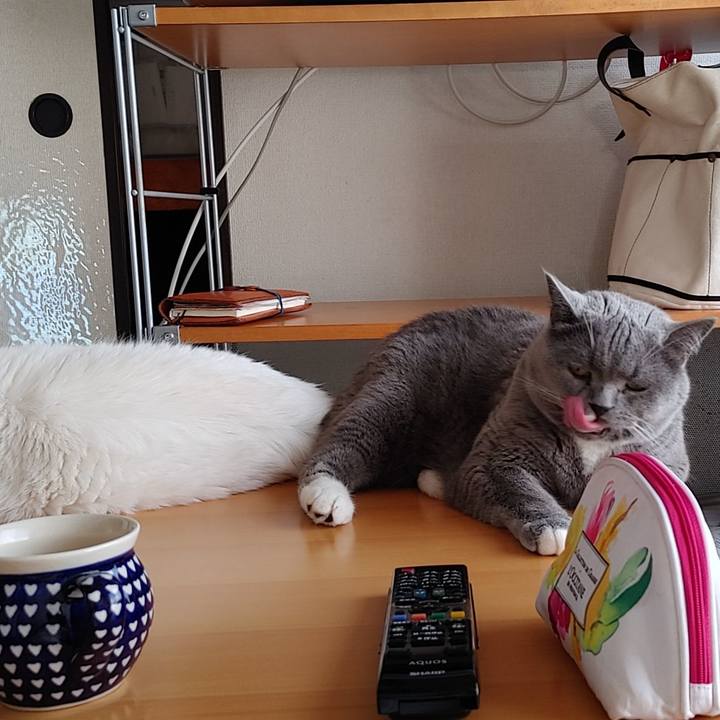 940c6edc 682a 432e 8dcd 3f89ccb60b68 1658615968755