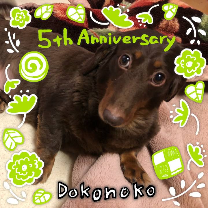 940c7099 fd19 4335 aade 00e439faa0a6 1623411272750