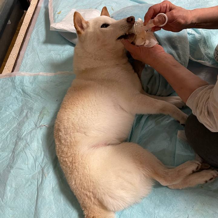 940c8d40 14dc 4ebd a76b b5be76b3a469 1652081888968