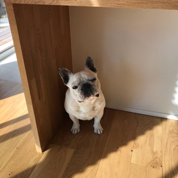 940c92d1 00e0 410f 8568 6a523fd7b25a 1585189726868