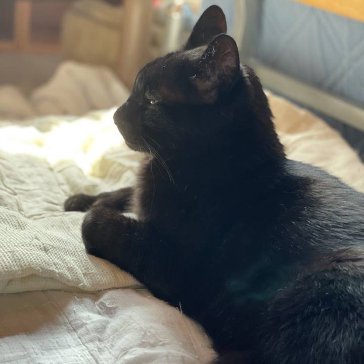 940c9e85 c86e 4a40 b888 3a15cb6bdd99 1624154176076