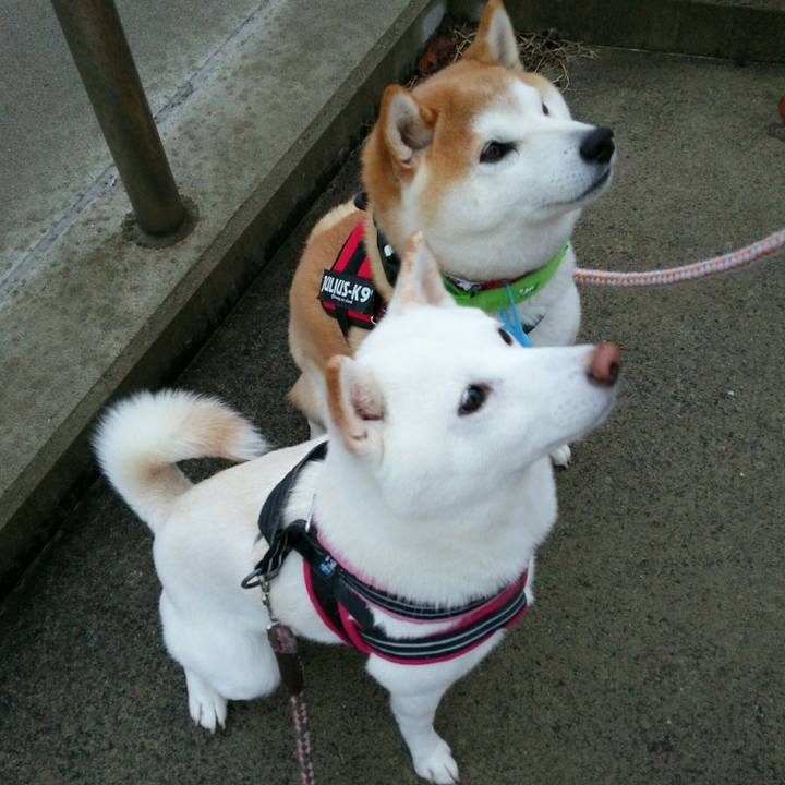 940cab7c f8a4 45a7 bdcb 3dfcccb4f395 1543565189156