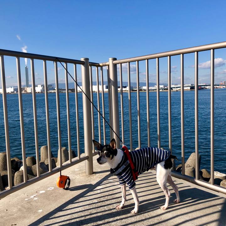 940cc75a a78f 416f a82a 2bcc91e3c86f 1547449451295