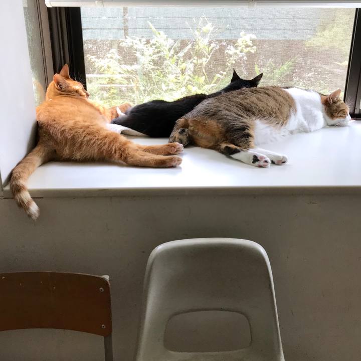 940cc950 0480 4fc0 98b1 72431ca8b9b4 1531539678101