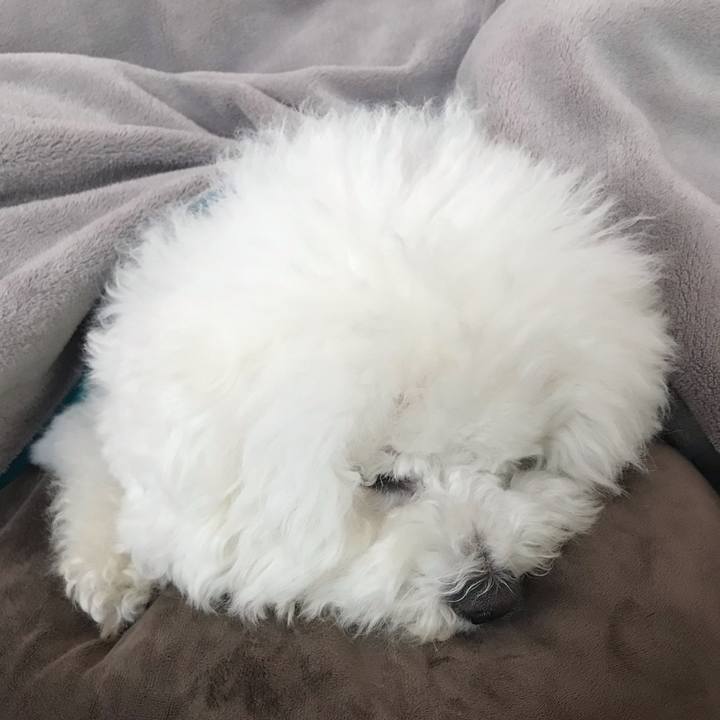 940ce6fa d7dd 4ea3 839a 2813c32a4476 1588230451217