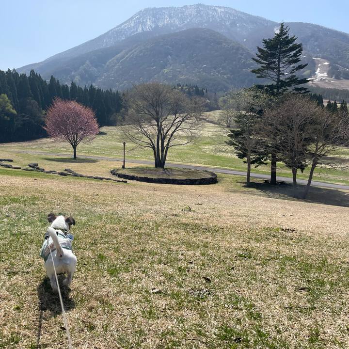 940d2986 7eed 4c7f bc37 0e37ec073e55 1651934640404