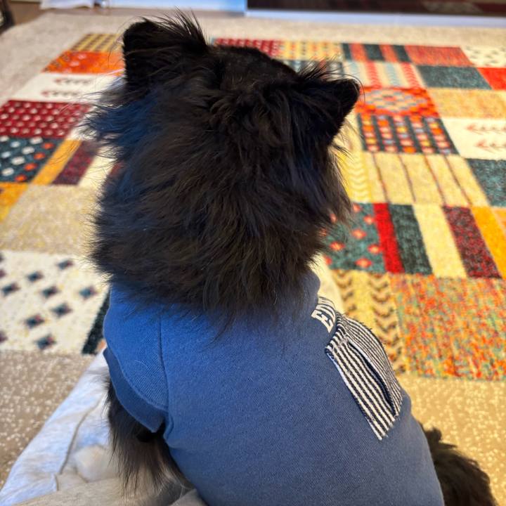 940d3e34 fb53 42e5 ac03 6563a537eccc 1732983399214