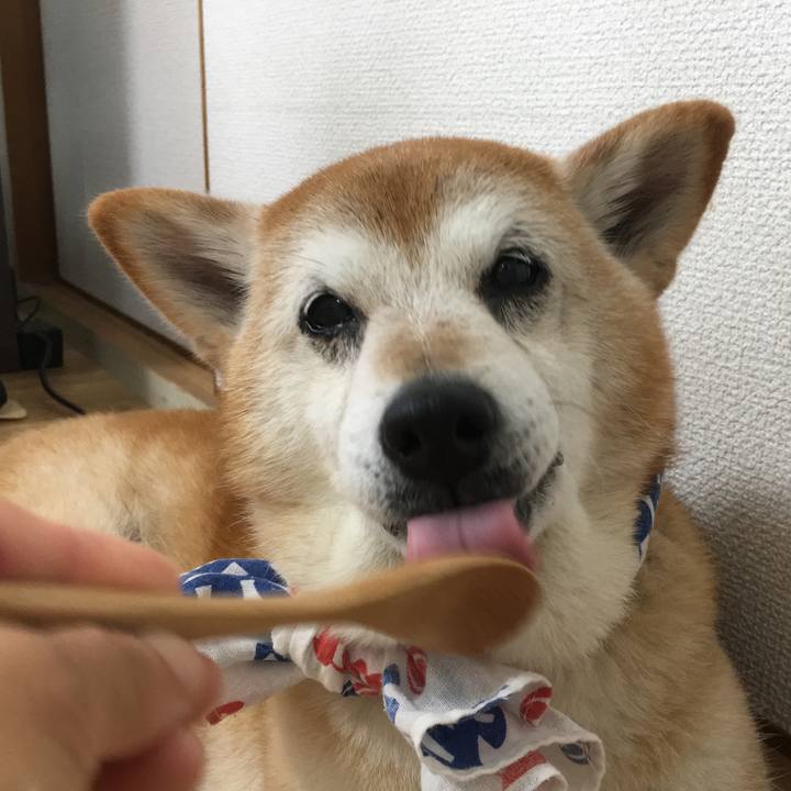 940d4d10 1604 41bd 85e0 1c8897699404 1531440022961