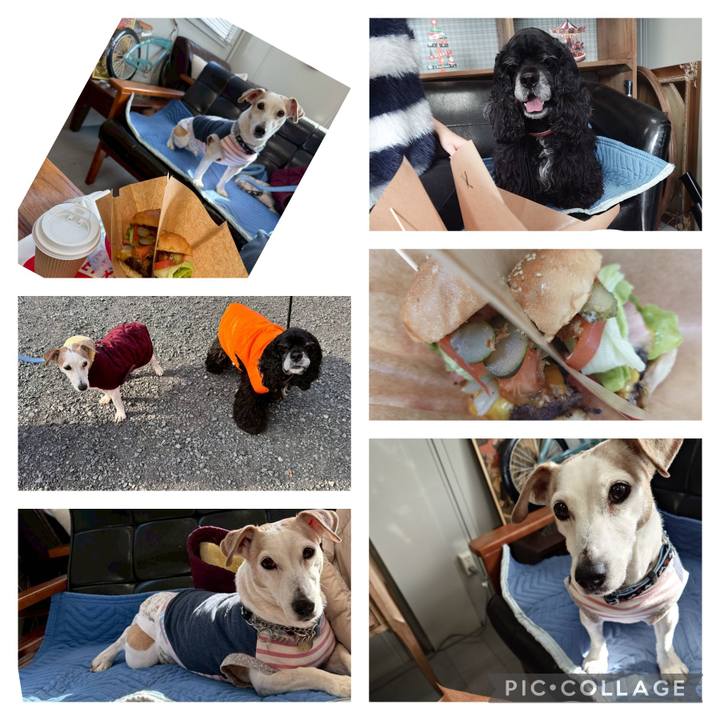 940d7f6e b6ac 40b5 9a17 9acd8a99f90d 1766145082433