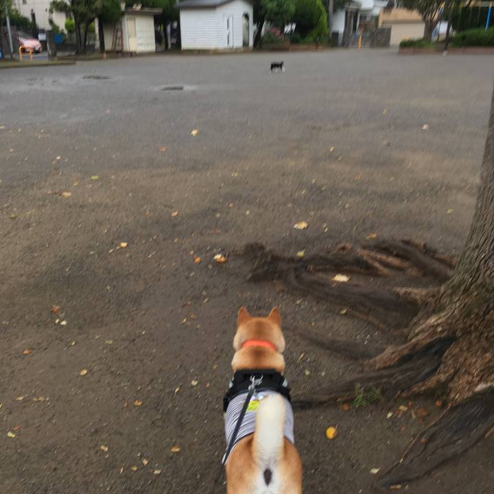 940dac71 2a3c 44d7 a4ac 45e943cae0b6 1613217033407