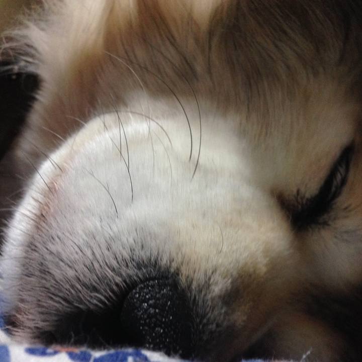 940dc576 85a3 458d 931e d9a8c61826f0 1553237577757